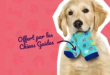 Recevez votre échantillon gratuit de chaussettes Chiens Guides