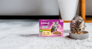 Offre Whiskas : échantillon gratuit de nourriture pour chatons
