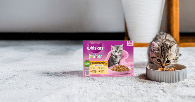 Échantillons gratuits de nourriture pour chatons Whiskas