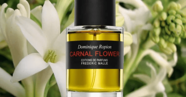 Échantillons gratuits du parfum Carnal Flower Frederic Malle