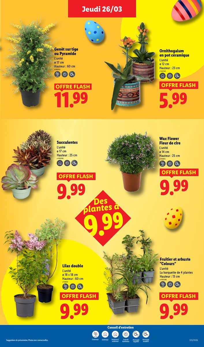 Catalogue Lidl Du 26 Mars Au 1er Avril 2026