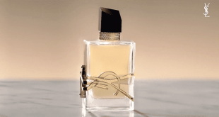 Échantillon gratuit : Parfum Libre d'Yves Saint Laurent à tester