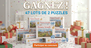 Concours Femme Actuelle : 47 lots de 2 puzzles à gagner