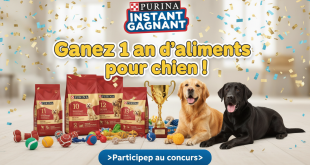 Instant Gagnant Purina : Gagnez 1 an d'aliments pour chien !