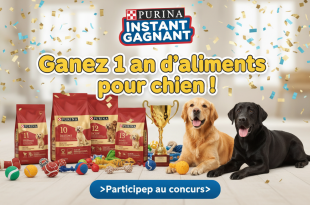 Instant Gagnant Purina : Gagnez 1 an d'aliments pour chien !