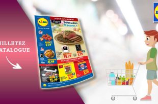 Catalogue Lidl en ligne Du 2 Au 8 Avril 2026