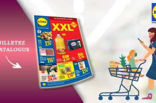 Catalogue Lidl en ligne du 09 au 15 avril 2026