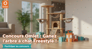 Concours Omlet : Gagnez l'arbre à chat Freestyle !