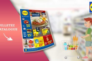 Catalogue Lidl du 16 au 22 avril 2026