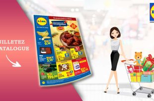 Catalogue Lidl du 23 au 29 avril 2026