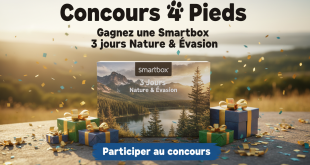 Concours 4 Pieds : Gagnez une Smartbox 3 jours Nature & Évasion