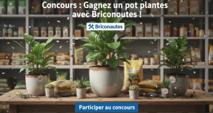 Concours : Gagnez un pot plantes avec Briconautes !