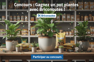 Concours : Gagnez un pot plantes avec Briconautes !