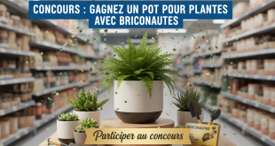 Concours : Gagnez un pot pour plantes avec Briconautes