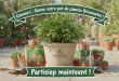 Concours : Gagnez pot plantes Briconautes