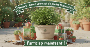 Concours : Gagnez pot plantes Briconautes