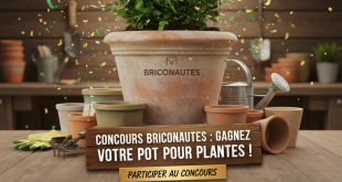 Concours Briconautes : Gagnez votre pot pour plantes !