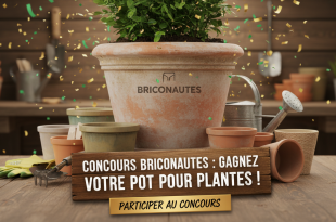 Concours Briconautes : Gagnez votre pot pour plantes !