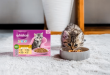 Échantillon gratuit Whiskas : Croquettes chaton offertes !