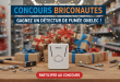 Concours Briconautes : Gagnez un détecteur de fumée Onelec !