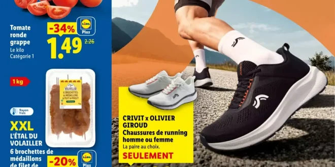 Catalogue Lidl du 4 au 10 Juin 2026