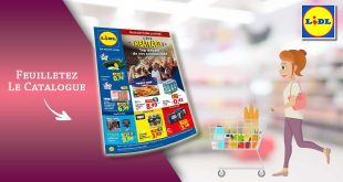 Catalogue Lidl du 11 au 15 Juin 2026