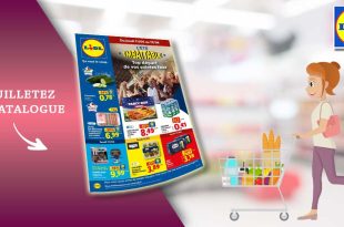 Catalogue Lidl du 11 au 15 Juin 2026