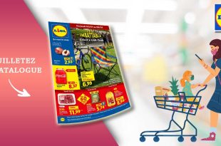 Catalogue Lidl du 2 au 8 Juillet 2026
