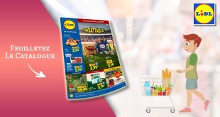Catalogue Lidl 16 au 22 juillet 2026