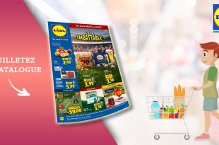 Catalogue Lidl 16 au 22 juillet 2026