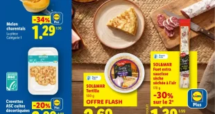 Catalogue Lidl 23 au 29 juillet 2026