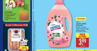 Catalogue Aldi 11 au 17 août 2026