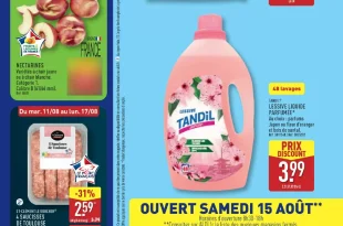 Catalogue Aldi 11 au 17 août 2026