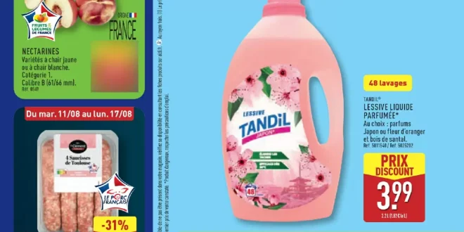 Catalogue Aldi 11 au 17 août 2026
