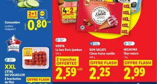 Catalogue Lidl 13 au 19 août 2026