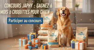Concours Japhy : Gagnez 6 mois de croquettes pour chien