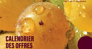 Catalogue Monoprix du 11 au 27 septembre 2026