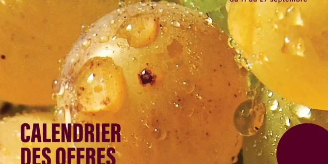 Catalogue Monoprix du 11 au 27 septembre 2026 : plaisirs quotidien, prix doux
